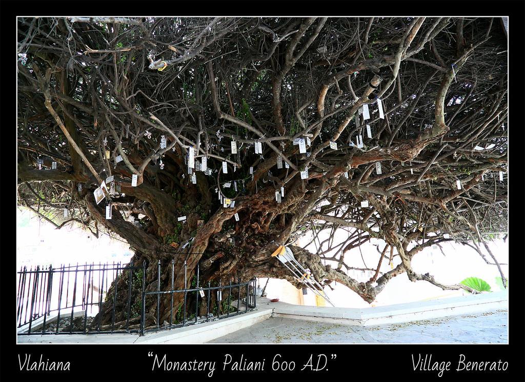 Vlakhianá Villa Daskalogianni מראה חיצוני תמונה