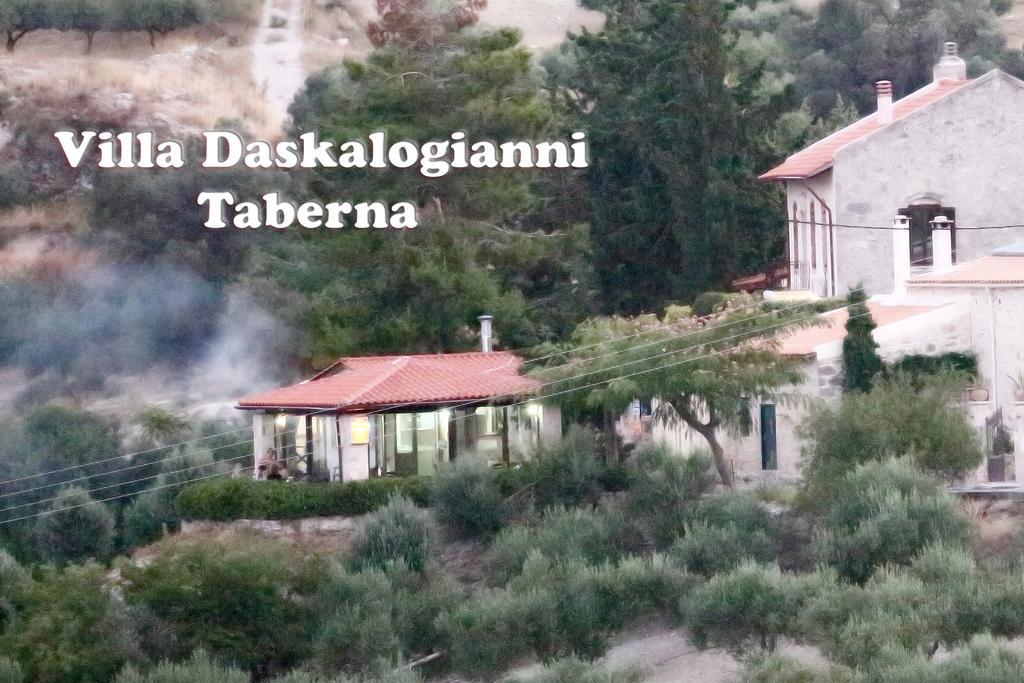 Vlakhianá Villa Daskalogianni מראה חיצוני תמונה